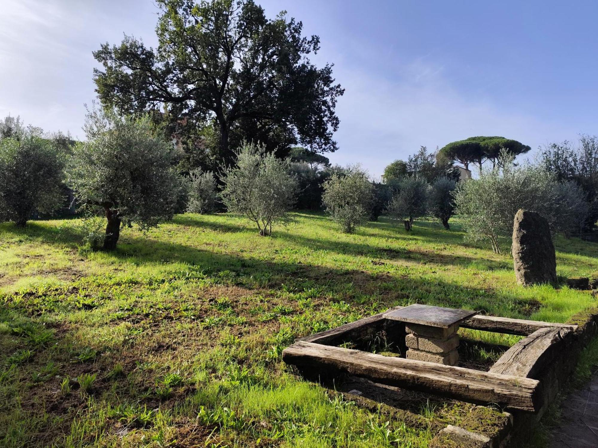 Green Hotel Poggio Regillo Frascati Eksteriør bilde